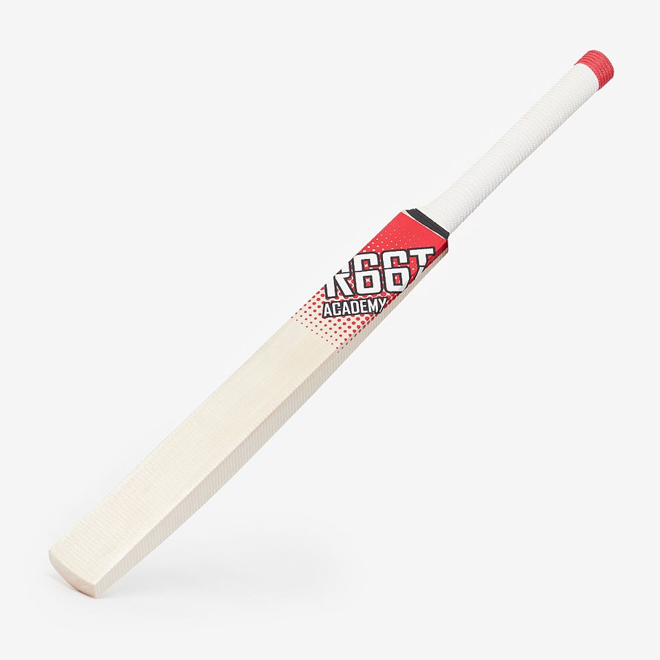 R66T Academy Cricket Ball Feeder Bundle