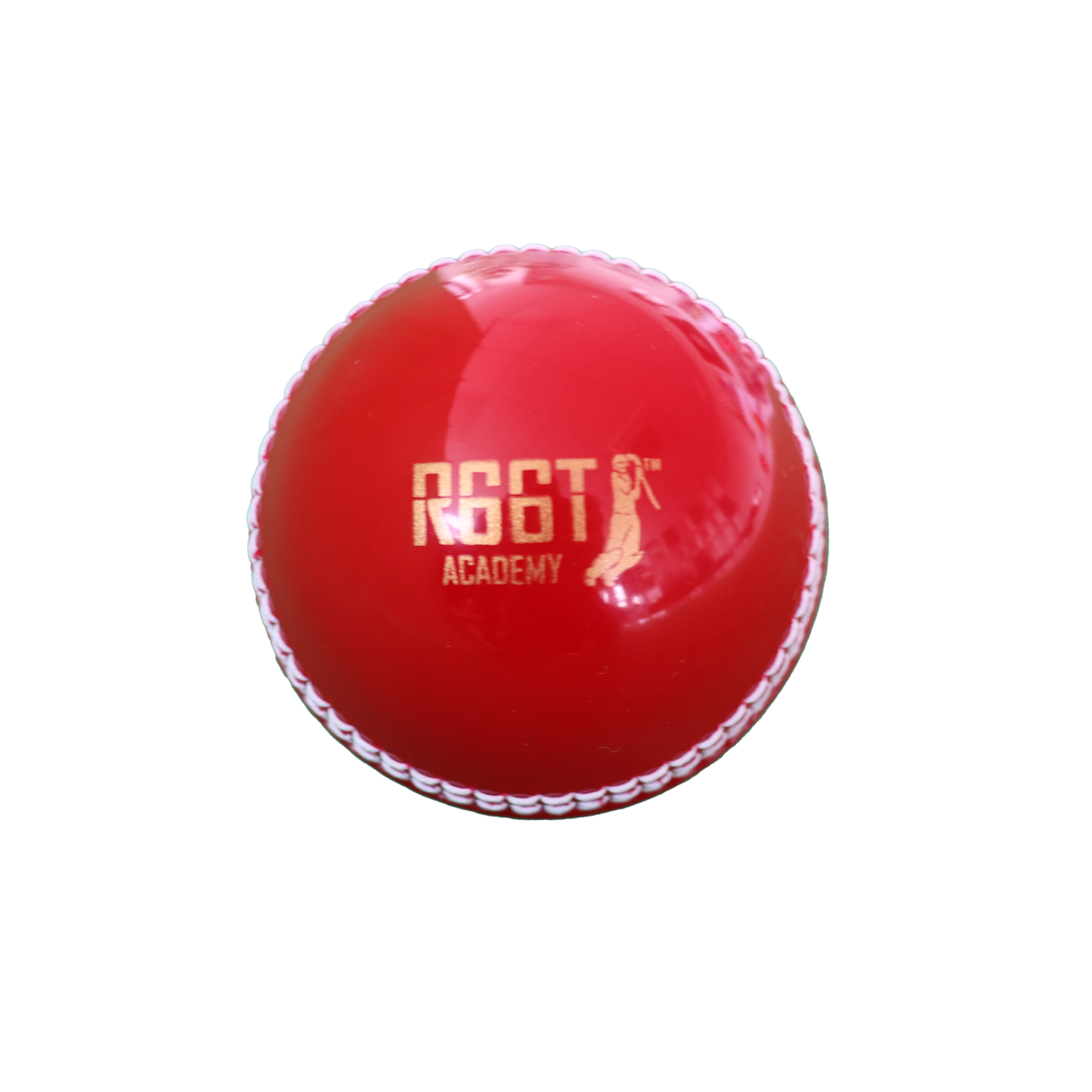 R66T Academy Cricket Fielding Bundle