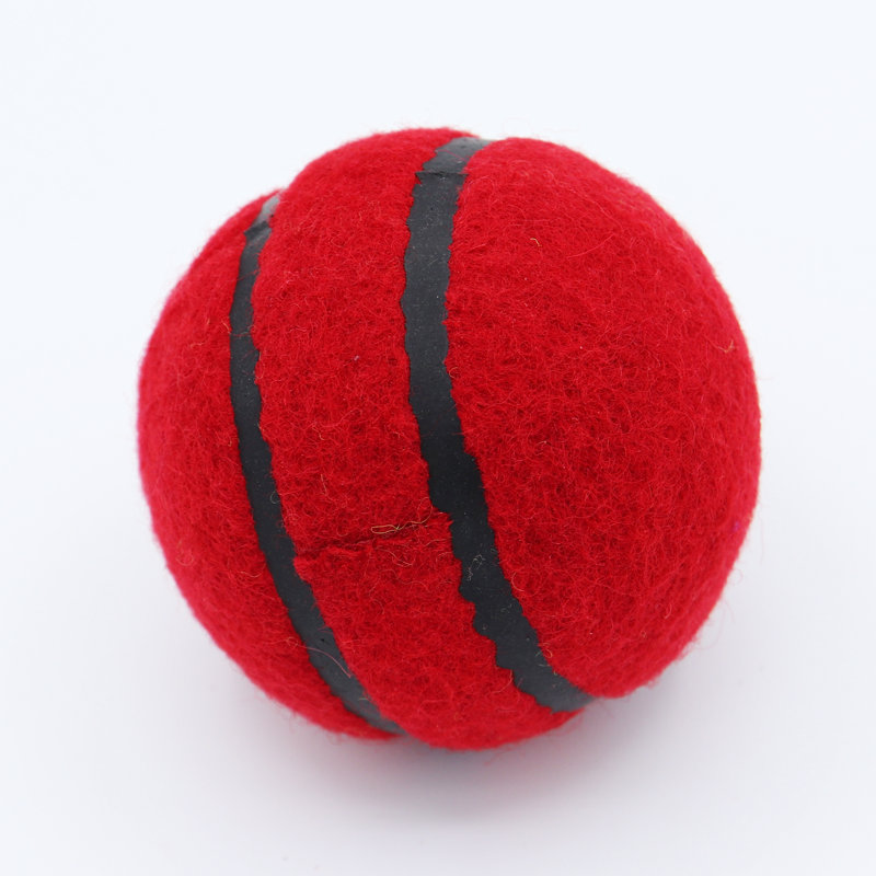 R66T Academy Tennis Ball With Seam Bag