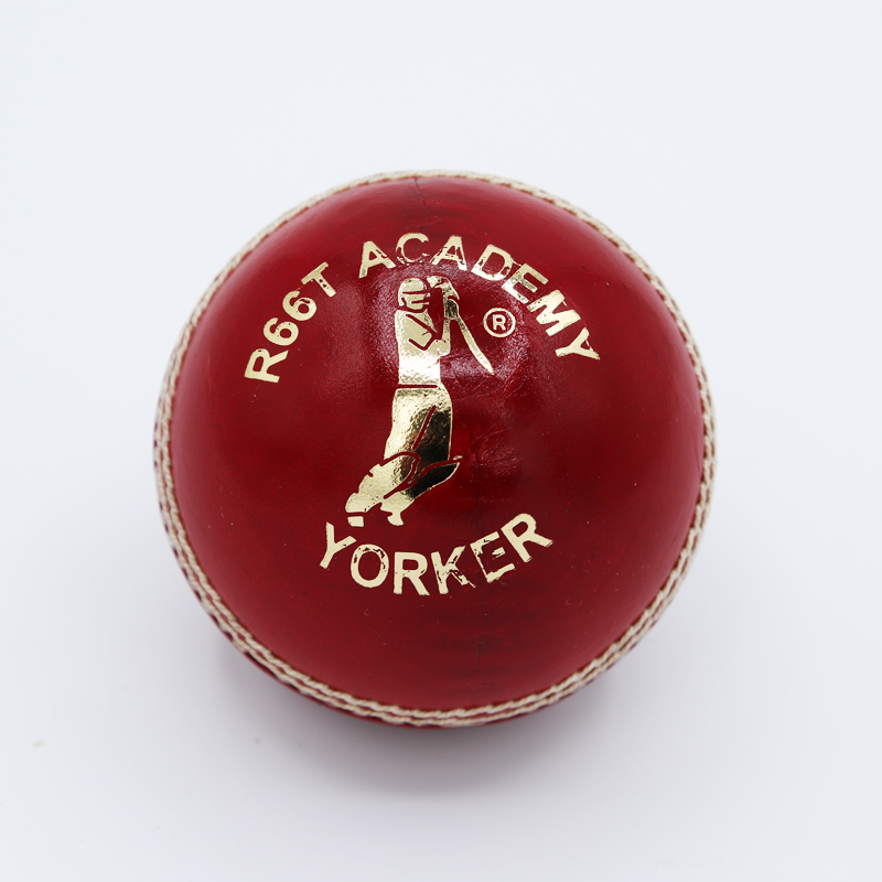 R66T Academy Yorker Cricket Ball Briefcase